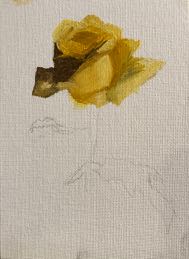 Yellow rose study 1 | art by karlene