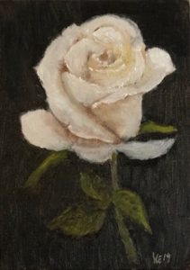 White rose study | art by karlene