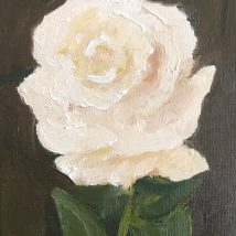 Single White Rose Study