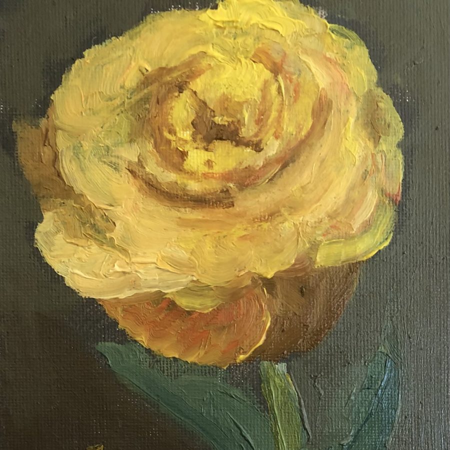 Single Yellow Rose Study